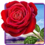 rose android application logo